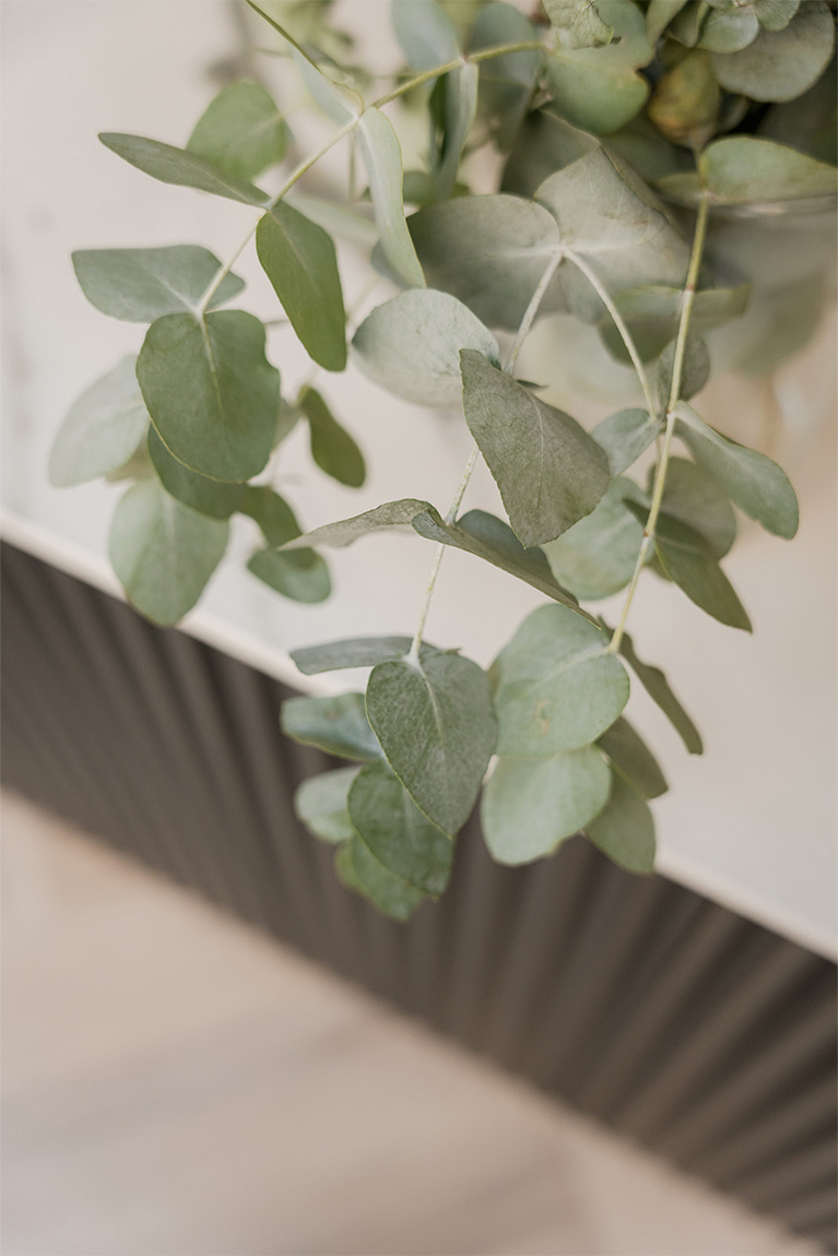 Sara Valor